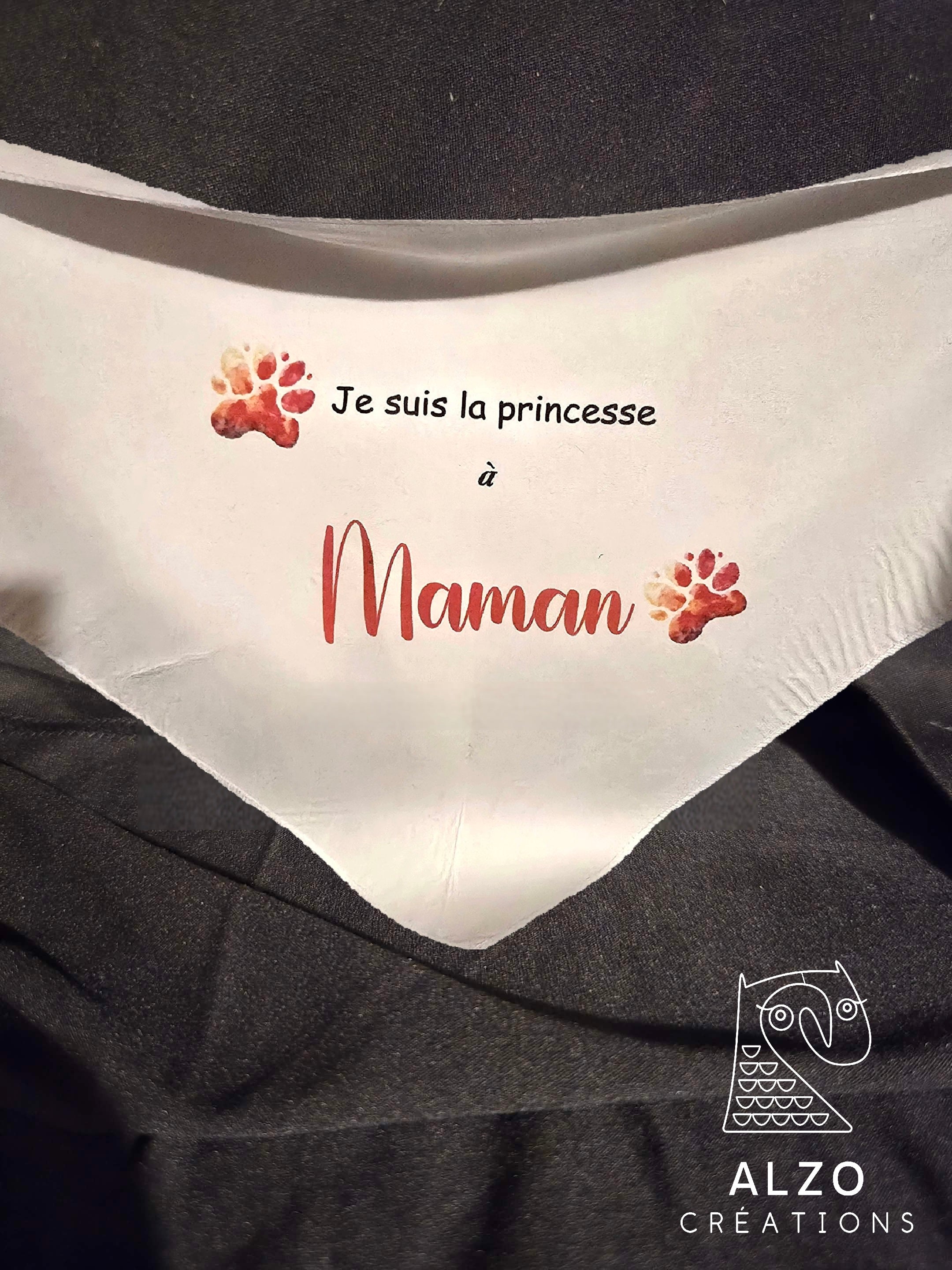 Foulard pour chien